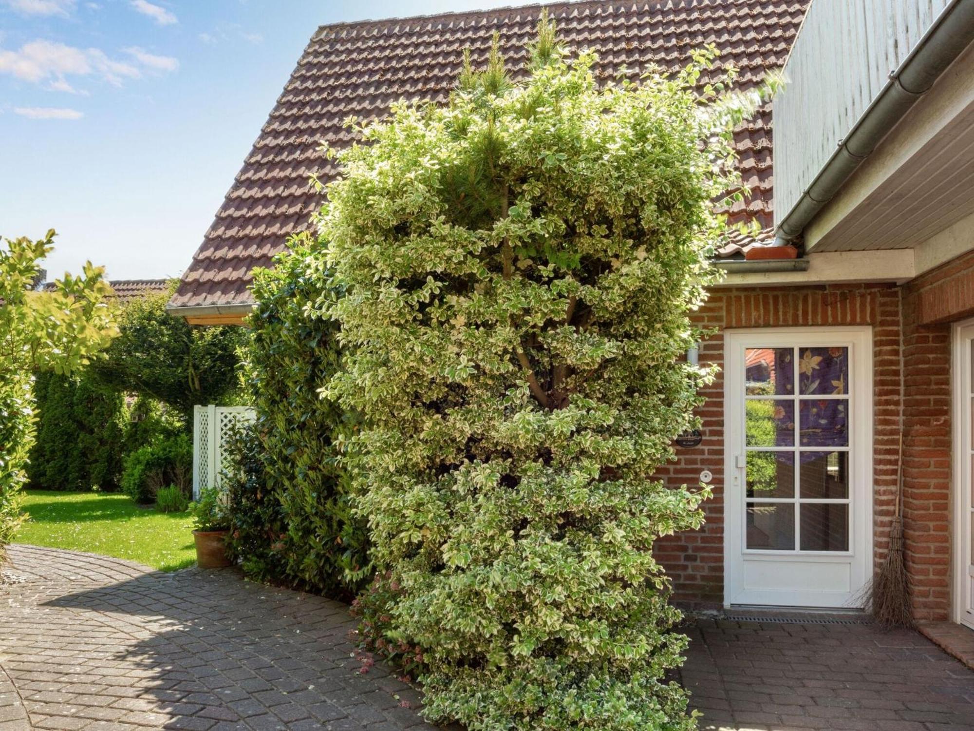 Enticing Holiday Home In Oldenburg With Garden Near Sea Dannau 외부 사진